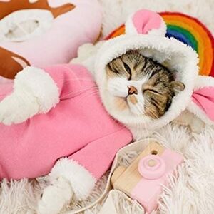 Baby Molly Pink Bunny Dog or Cat Costume Size XL